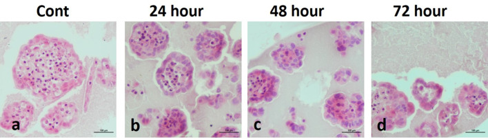 Fig. 8