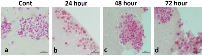 Fig. 9