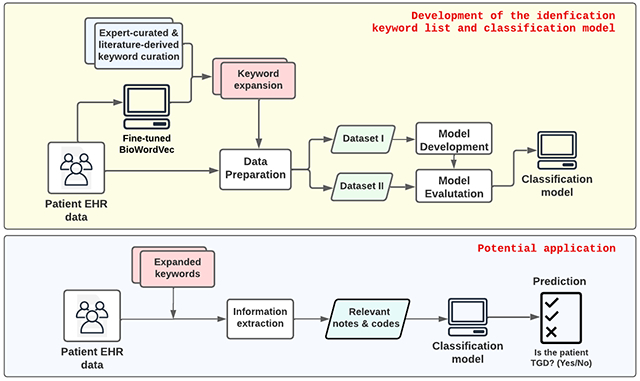 graphic file with name nihms-1944426-f0003.jpg