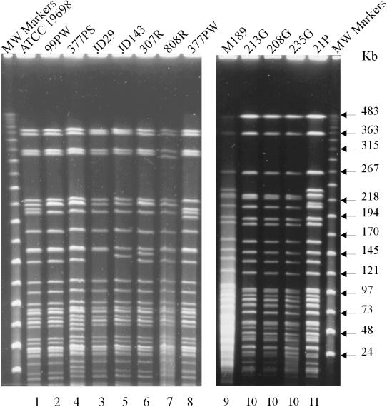 FIG. 2.