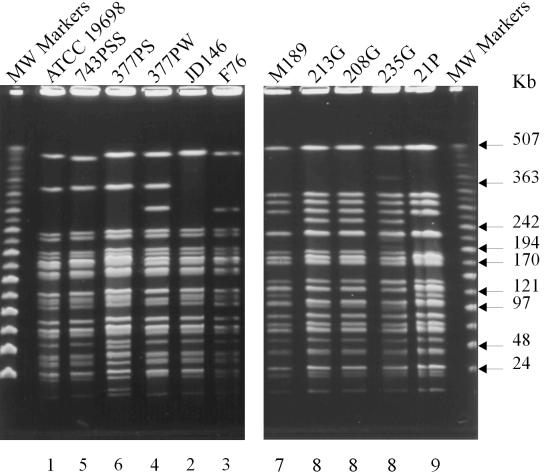 FIG. 3.