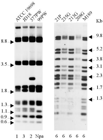 FIG. 5.