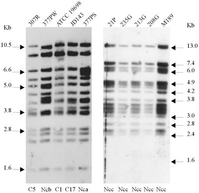 FIG. 4.