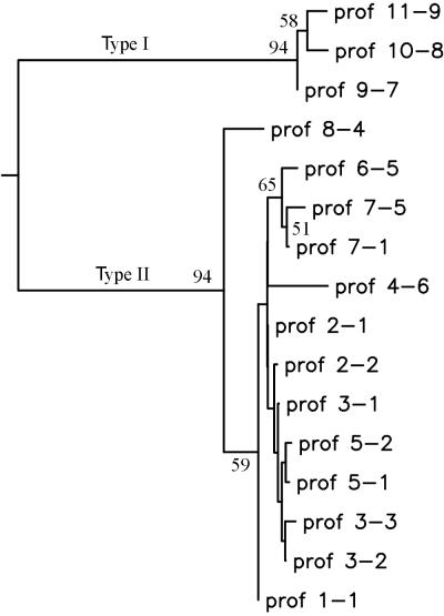 FIG. 6.