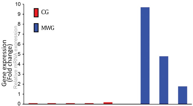 Fig. 4