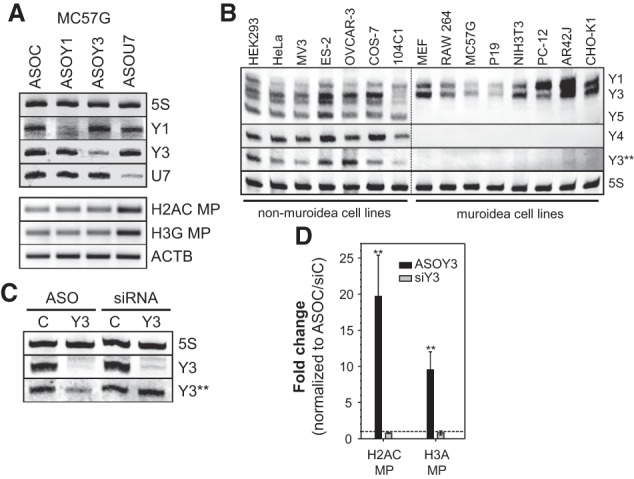 Figure 3.