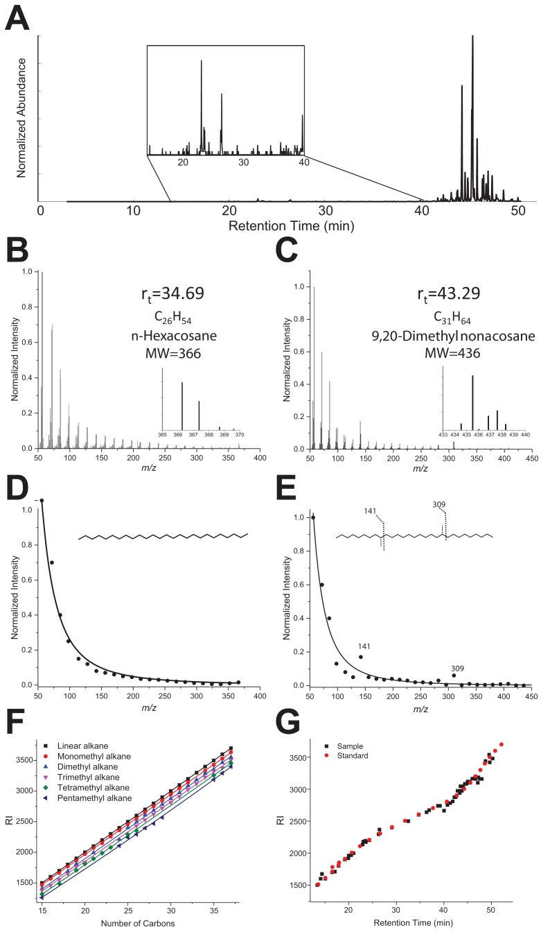 Figure 3—figure supplement 1.