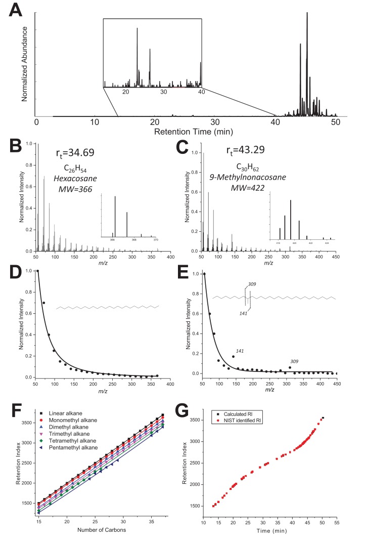 Figure 3—figure supplement 1.