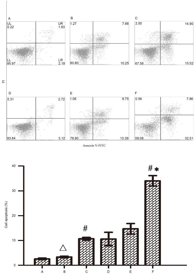 Figure 6.