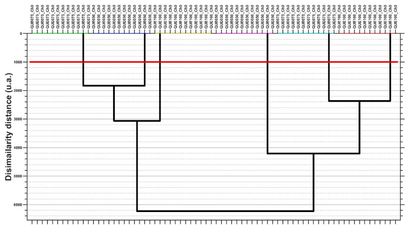 Figure 19