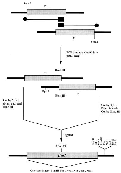 FIG. 1