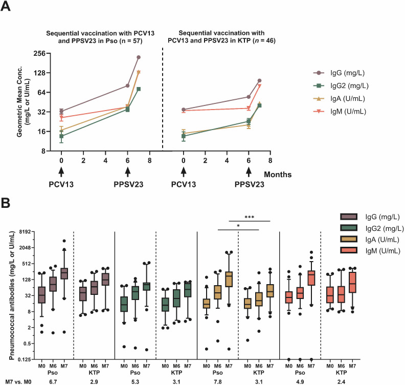 Dot plot plots increasing antibody levels of IgG, Ig2, IgA, IgM across months following PCV13 and PPSV23 vaccinations at months 0, 6 and 7 in psoriasis patients. Boxplot compares overall antibody concentrations across antibody classes.