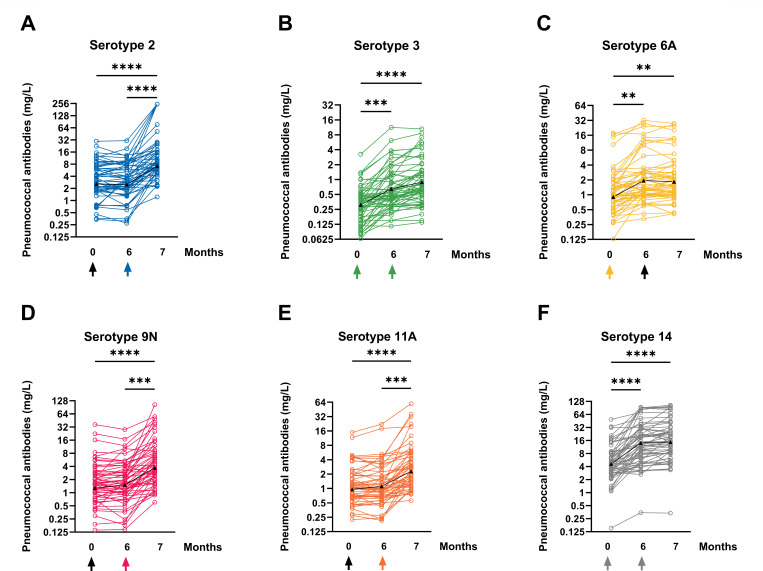 Six graphs plot changes in antibody levels against specific pneumococcal bacteria serotypes 2, 3, 6A, 9N, 11A, and 14 across vaccination times, with an increasing trend from months 6 to 7.