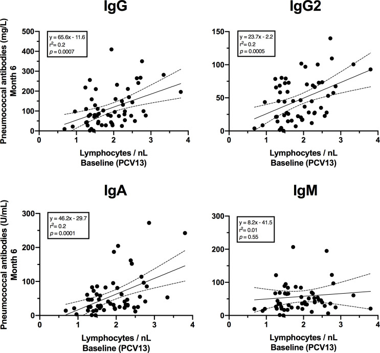 Graphs feature the correlation between pneumococcal antibody levels and baseline lymphocyte counts and the range of the relationship at 95 percent confidence. Linear equations are given for each immunoglobulin type.