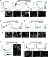 Figure 2—figure supplement 3.