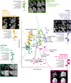 Figure 2—figure supplement 2.