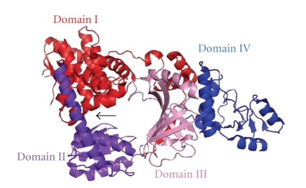 Figure 11