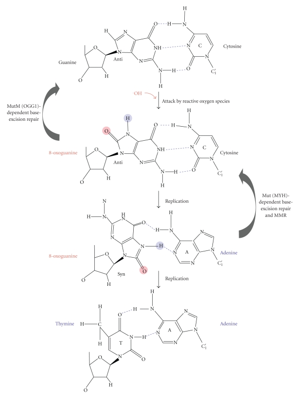 Figure 12