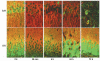 FIG. 3