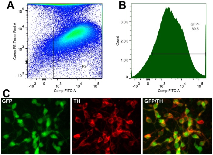 Figure 4