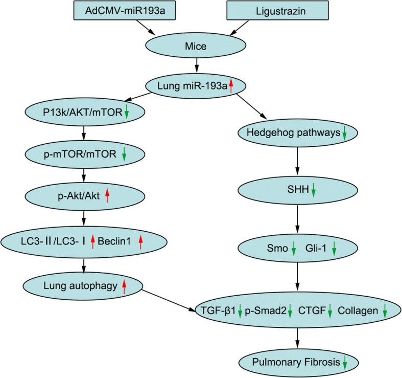 Fig. 12