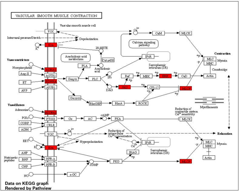 Figure 7