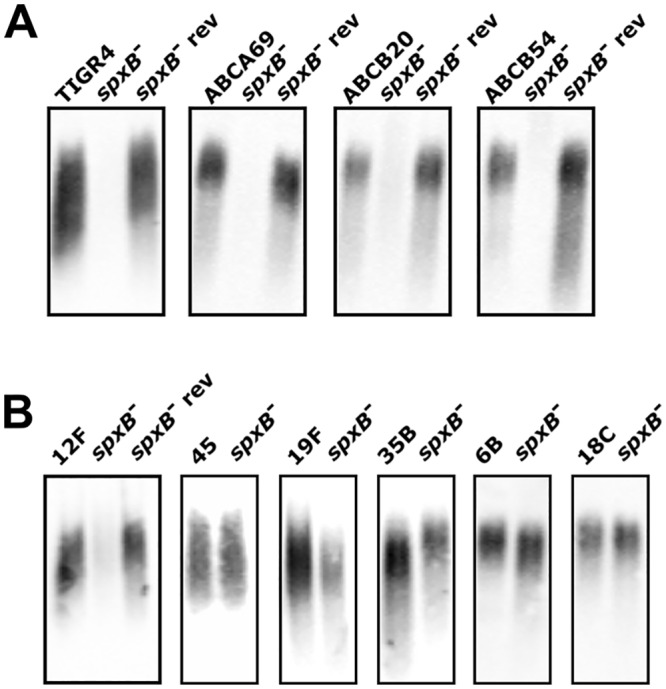 Fig 11