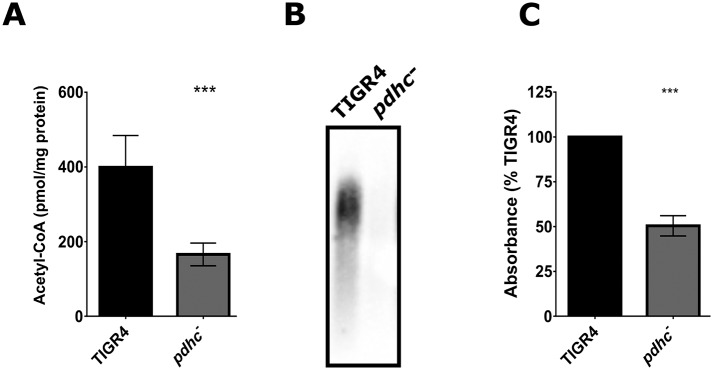 Fig 10