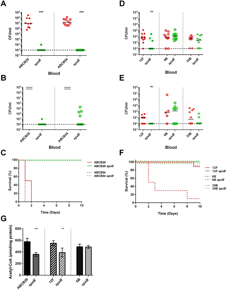 Fig 12