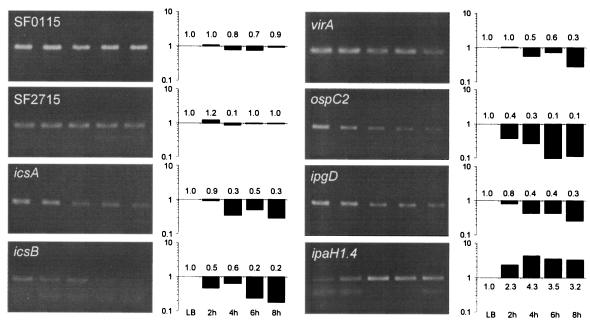 FIG. 7.