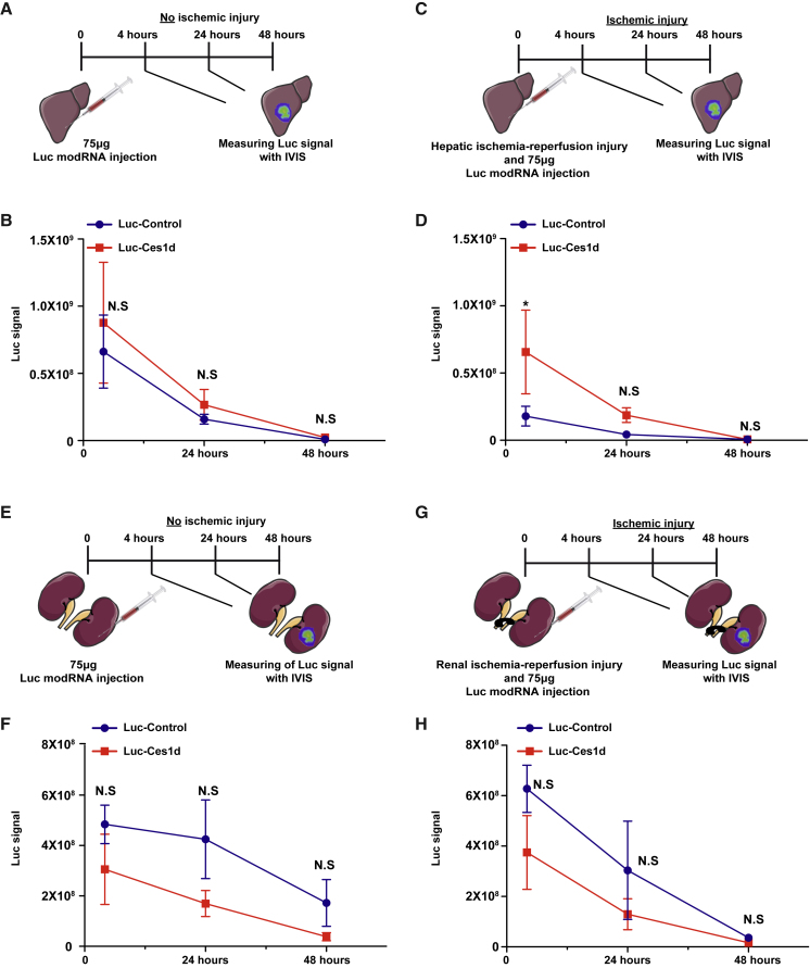 Figure 4