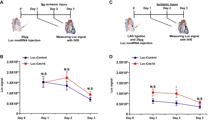 Figure 3