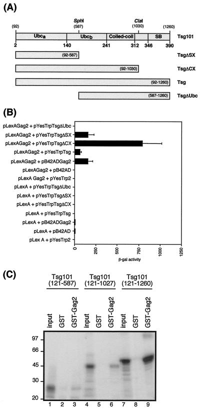 FIG. 4.