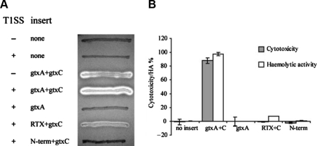 Figure 4.