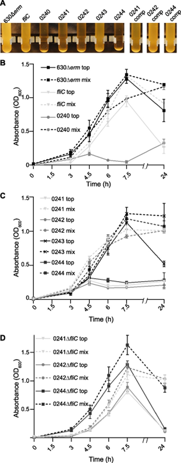 Fig 5