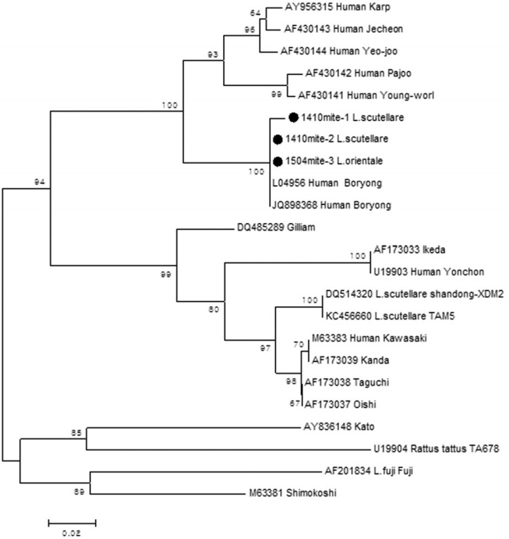 Fig. 3.