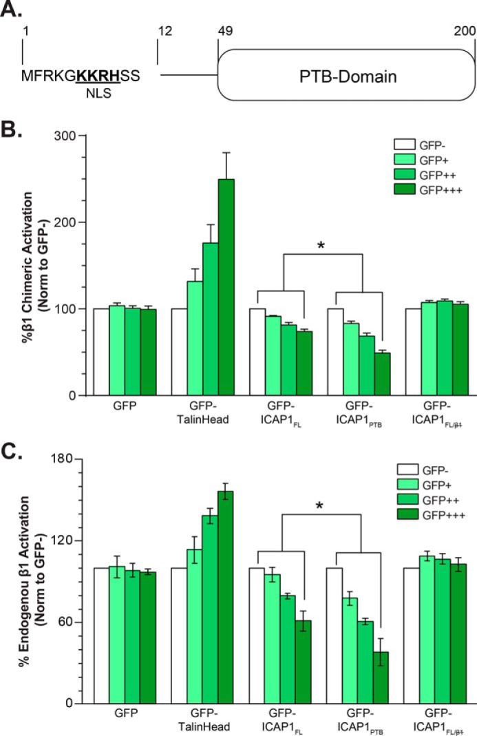 FIGURE 1.