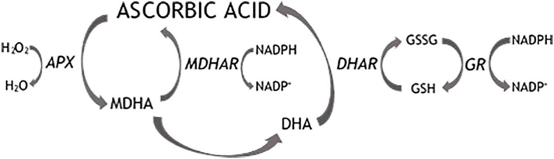 Figure 1