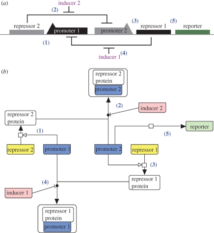 Figure 4.