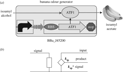 Figure 3.