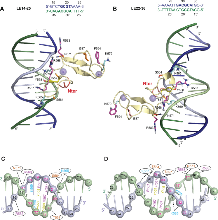 Figure 6.