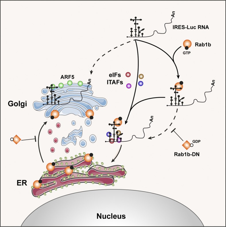 Figure 7.