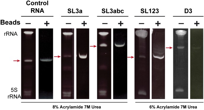 Figure S1.