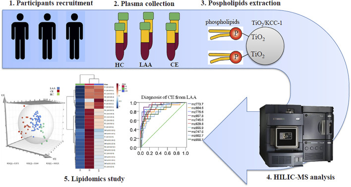 Graphical Abstract