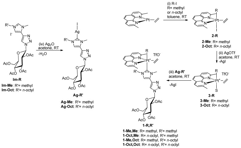 Scheme 2