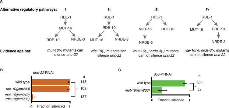 Figure 2—figure supplement 1.