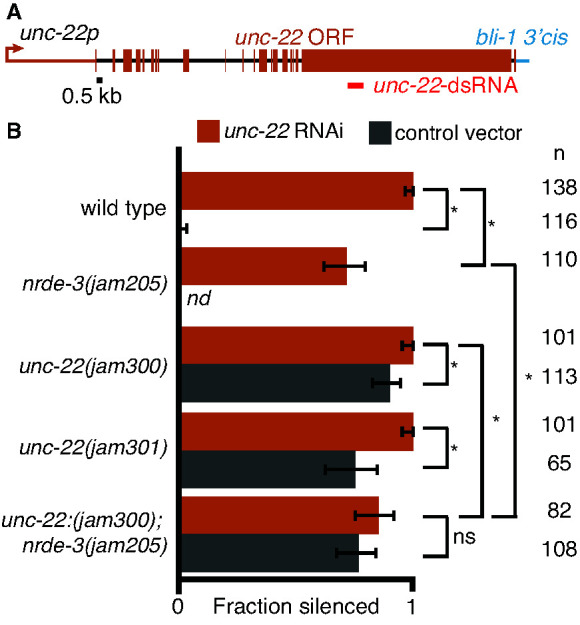 Figure 5—figure supplement 1.