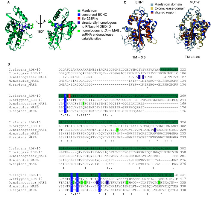 Figure 1—figure supplement 2.