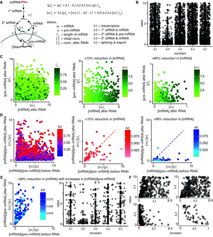 Figure 4—figure supplement 1.