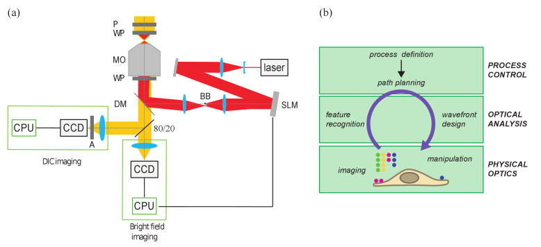 Fig. 1